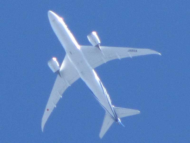 何気に見上げたら青い空を飛行機がゆっくりと…白くてキレイだったか撮ったけど…これって787じゃね?(^_^;)