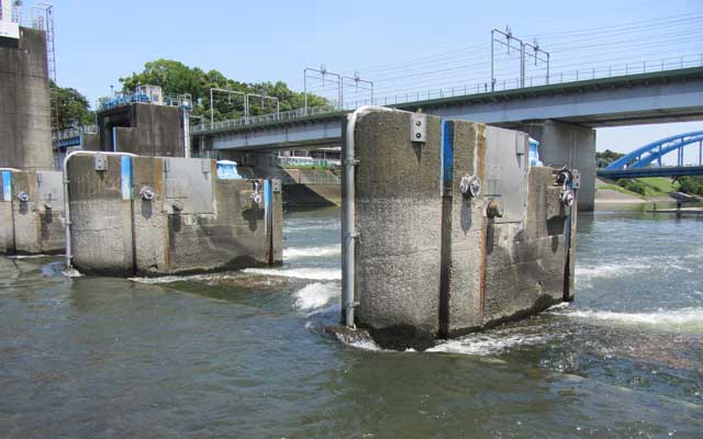 今日を逃すと天気が悪くなりそうだったのでお散歩に出る…(^_^;)水不足が懸念されている通りなのか、多摩川の東急東横線脇にある水門(東京都水道局玉川浄水場調布取水所)近くまで行けてしまいました(^_^;)