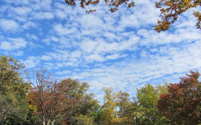 すかーり秋の空〜…でも寒くなってきたヽ(^.^;)丿