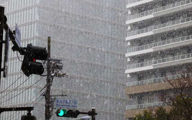 春分の日なのに…桜も開花しているのに…降雪ですかーっ!?ヽ(^.^;)丿まぁ、積もるような降りではなかったですが…(^_^;)