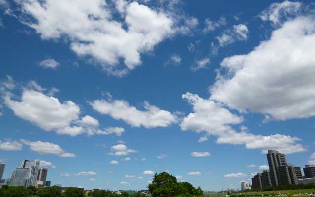 【多摩川川縁散歩】2018年5月20日 こんなに晴れてるのに何故か涼しい…いや、それはそれで助かるが…(^_^;)風が少々強い、あとこの細切れの雲が流れて日差しが頻繁に遮られる(^_^;)