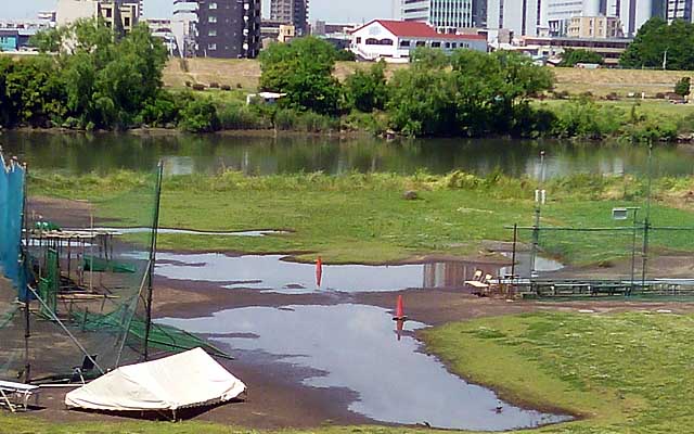 こっち側はいつもだと川沿い近くを歩くのですが、昨日の雨降り後なので泥濘んでるのもありましたので、土手側を進む…(^_^;)