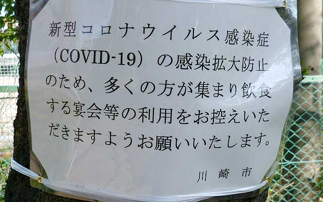 【武蔵小杉の桜(定点観測2020)】で…その観察対象のトコからちょっと離れたトコの桜にはこんな貼り紙が…(^_^;)全部の木ではなく4〜5本に1枚みたいな感じで…