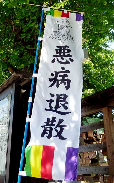 途中の神社の入口にアマビエ様のお姿が…ありがたやありがたや…(^_^;)