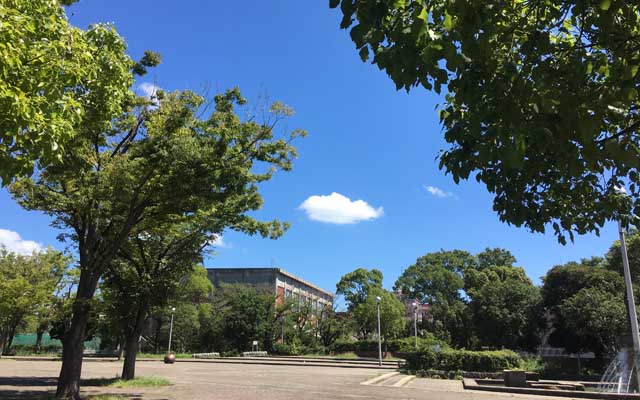 何このあほ空わっ!＼(T_T)／風は少しだけある…日陰の無いトコに立ってるとチリチリしてくるよーな感じもありましたが、日陰で風に当ってれば、まだ耐えられるような…って、小一時間程度しかお買い物で出てただけなのに、そこそこの発汗になってたりはしたっ!ヽ(^.^;)丿