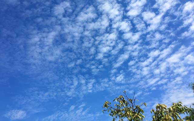 最初の内はこんな感じの青空だった…そこそこ日射しもあったですが、基本気温は低めだったし、風もイイ感じで過ごし易いと…汗はあまり出ない(昨日よりは若干多かったみたいだが… ^_^;)