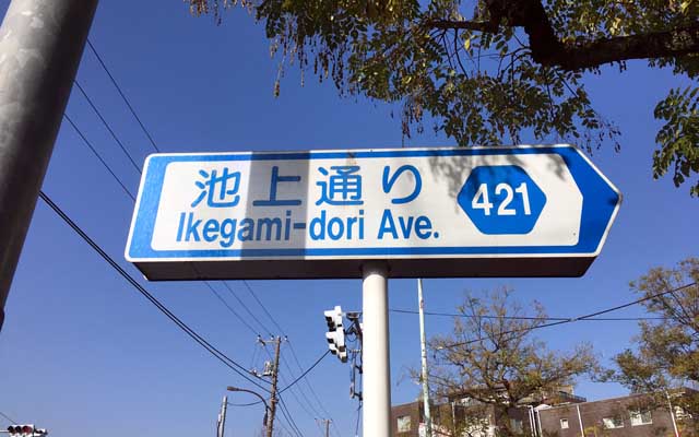 友人宅まで、この道をひたすら…尚、ここ(ガス橋を抜けて環八に出た辺り)までに多摩川を渡って隣の区に入ってたりするヽ(^.^;)丿