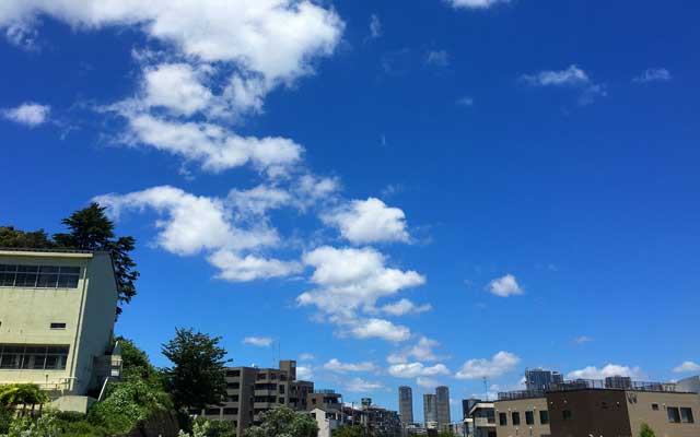 昨日に引き続き今日も夏日…むしろ昨日よりあほ空は濃いかもしれぬー