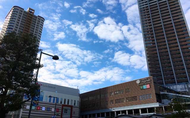 午前中はこんな感じに晴れてたのに、午後からは雲が広がって…雨にはなりませんでしたが、今週は崩れる日があるみたいですなーヽ(^.^;)丿どんだけ悪あがきしておけるだろう…(^_^;)