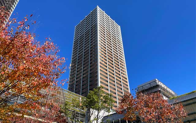 あほ空〜、明日もこんな天気だといいんだが…寒くなるんかのぉ…(今日時点ではまだ上着は薄手… ^_^;)