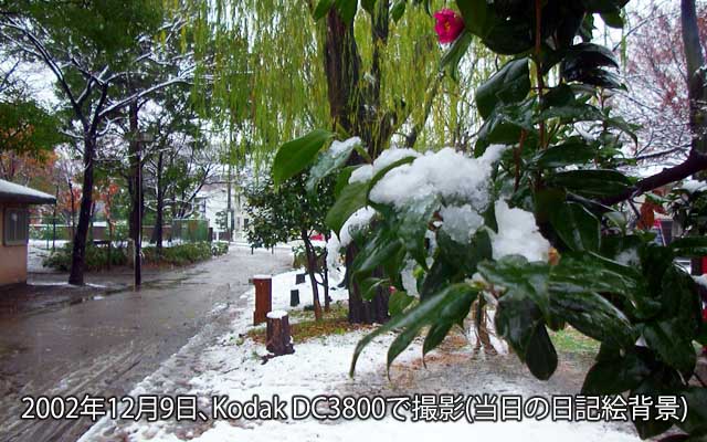 2002年12月9日撮影、20年前の今日は雪だったと…日記絵の背景には貼ってましたが写真は貼ってなかったので補正して再保存…そか、この当時使ってたデジタルカメラは Kodak DC3800 だったか…(^_^;)