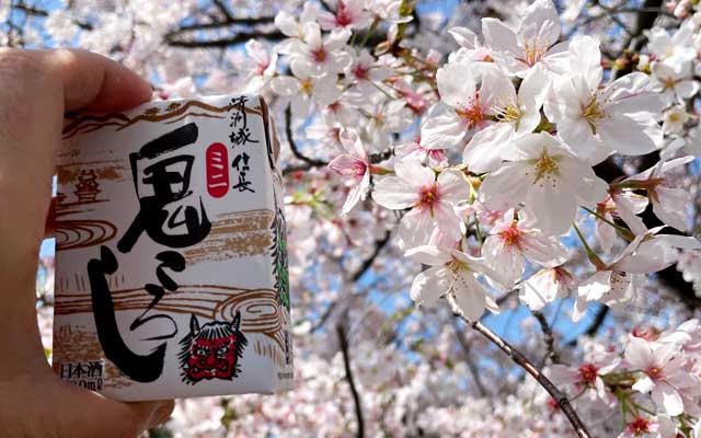 当初は天気の崩れも予想されていた今週末は、なかなかの花見日和となった訳で…家族連れとか仲間内とか、御座やテント敷いて飲めや歌えや…あぁ、一緒に花糞も食ってしまひさう…ヽ(^.^;)丿