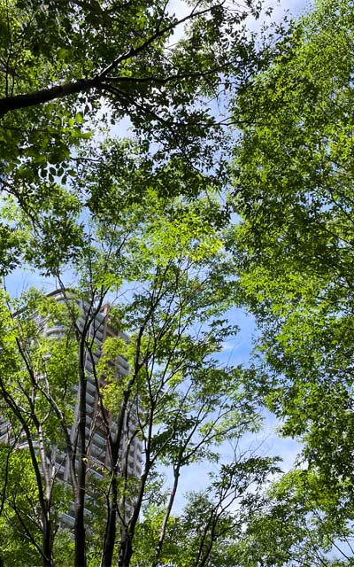 こんな天気なのに、こんな天気なのに、こんな天気なのにーっ!!＼(T_T)／まぁ、午後からは雲も出始めましたが…(^_^;)