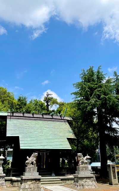 この天気は今日だけらしいので…実際午後からは曇ってきたし…悪あがきだっ!3週間もサボってたっ!ヽ(^.^;)丿